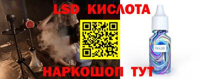 прущие грибы Обнинск