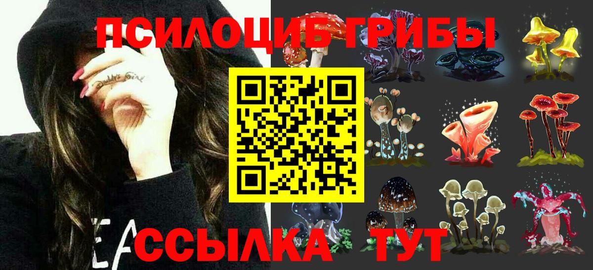 Рузаевка  Галлюциногенные грибы Magic Shrooms  Вход с VPN 
