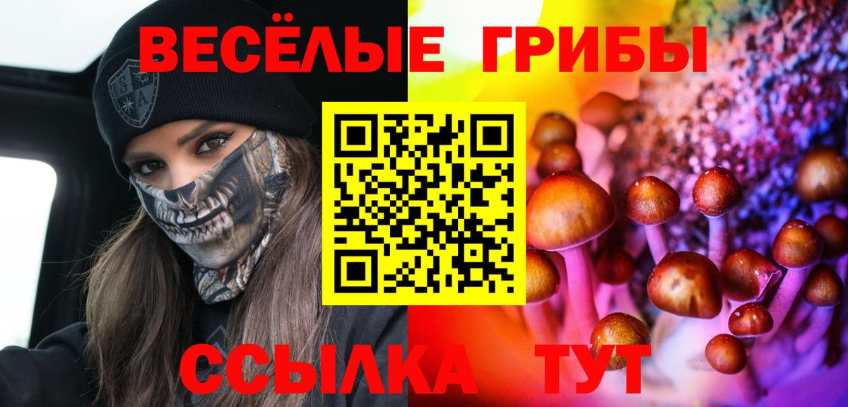 Галлюциногенные грибы GOLDEN TEACHER Рузаевка
